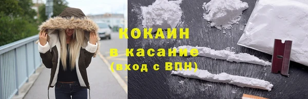 кокс Арсеньев