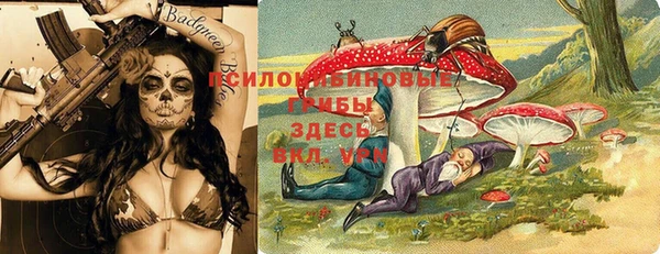 стафф Армянск
