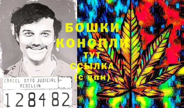 тгк Аркадак