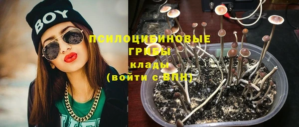 кокаин Новозыбков